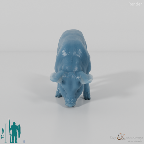 Schwein - Berkshire-Ferkel 02