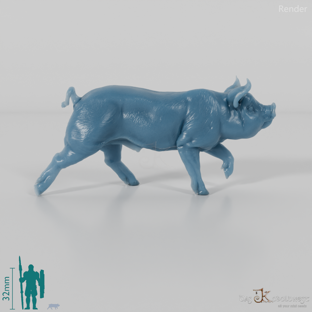 Schwein - Berkshire-Ferkel 04