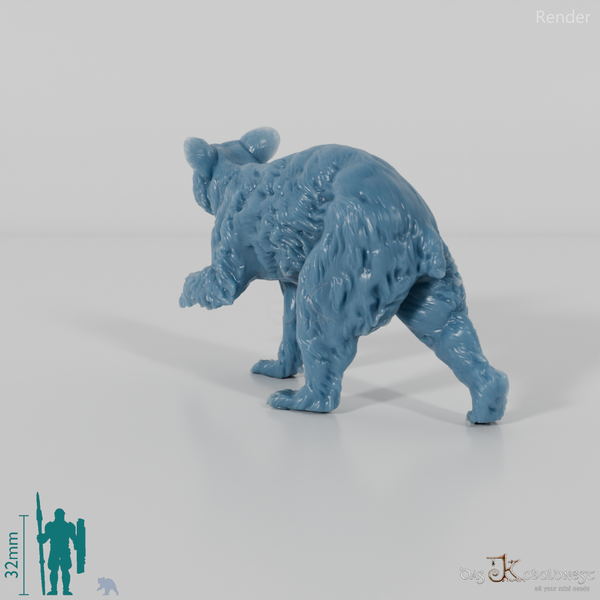 Bär - Amerikanischer Schwarzbär - Jungtier 01