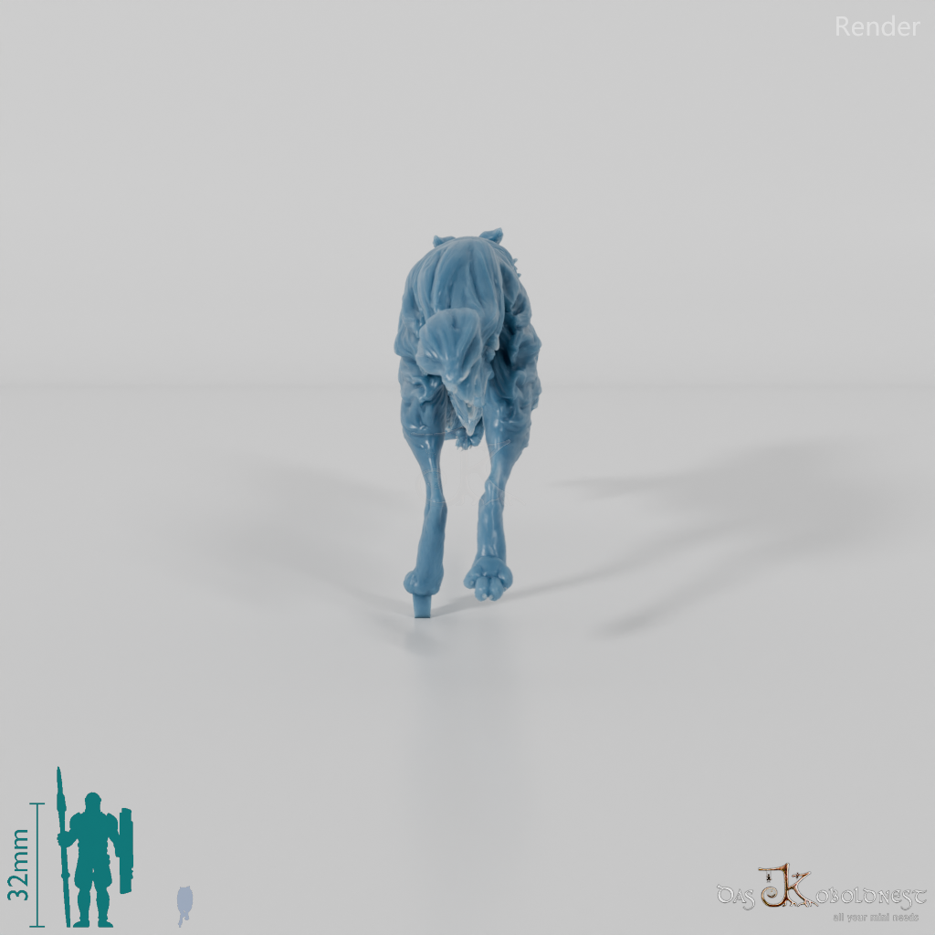 Hund - Border Collie 02