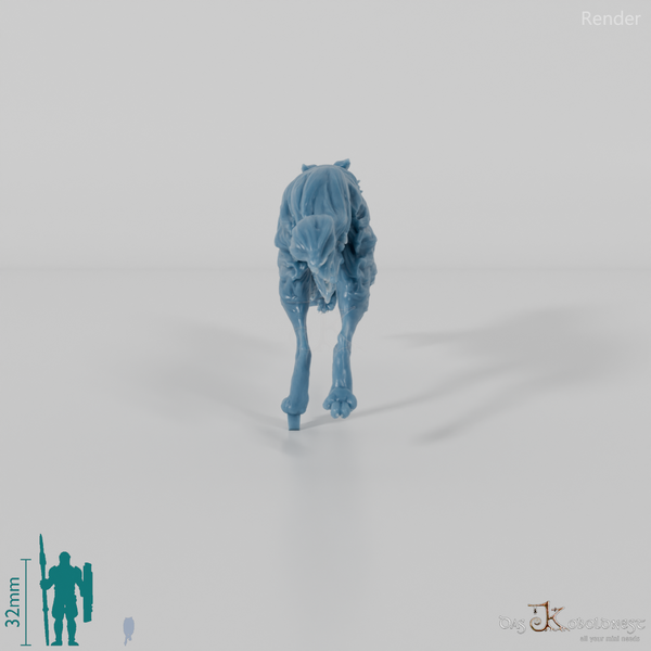 Hund - Border Collie 02