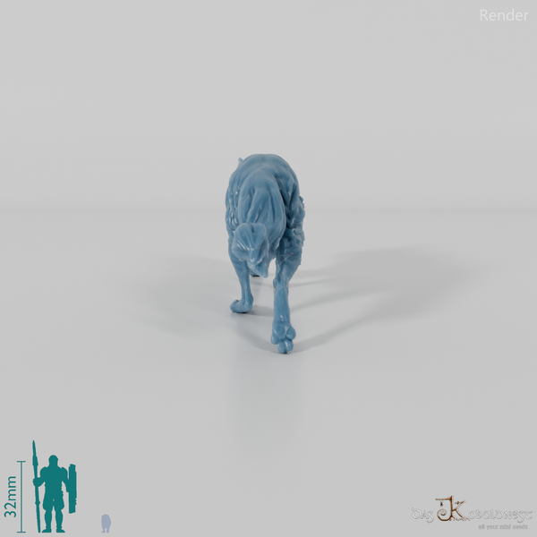 Hund - Border Collie 04