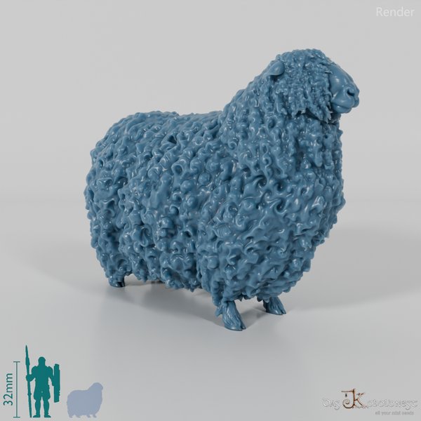 Schaf - Devon and Cornwall Longwool - Bock 01