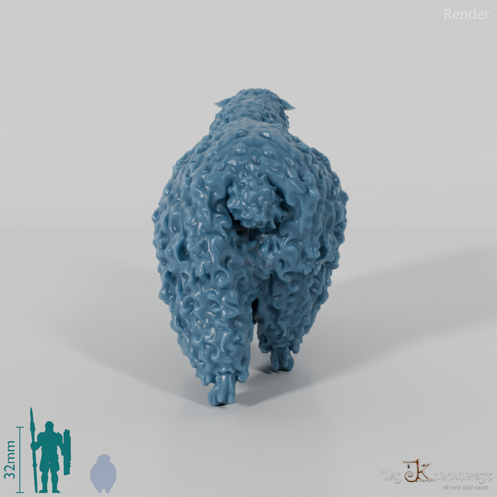 Schaf - Devon and Cornwall Longwool - Bock 03