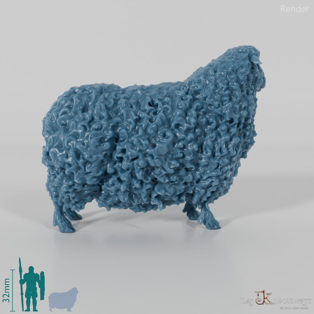 Schaf - Devon and Cornwall Longwool - Schaf 01