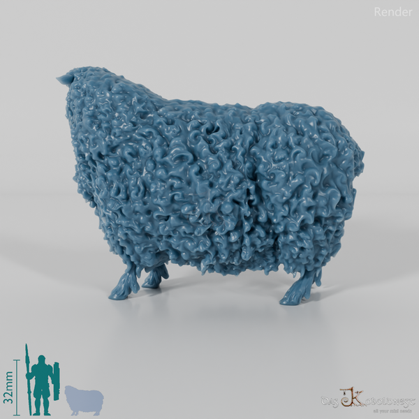 Schaf - Devon and Cornwall Longwool - Schaf 02