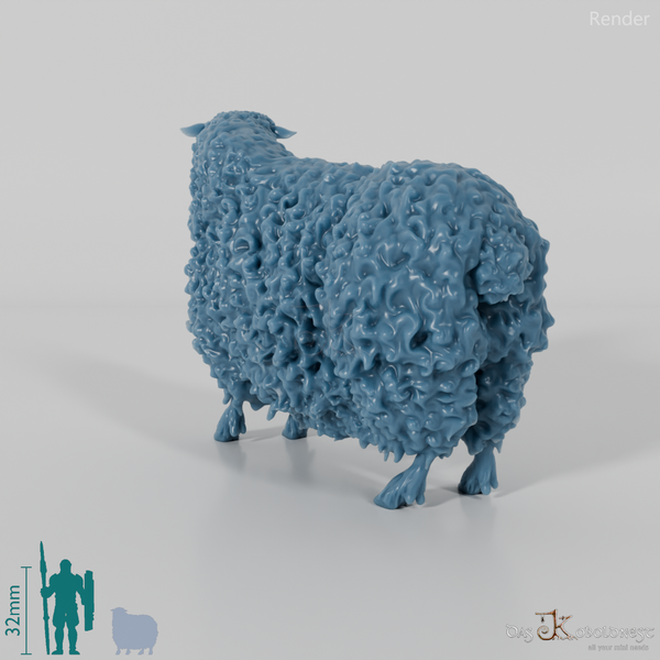 Schaf - Devon and Cornwall Longwool - Schaf 02