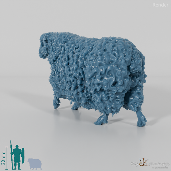 Schaf - Devon and Cornwall Longwool - Schaf 03