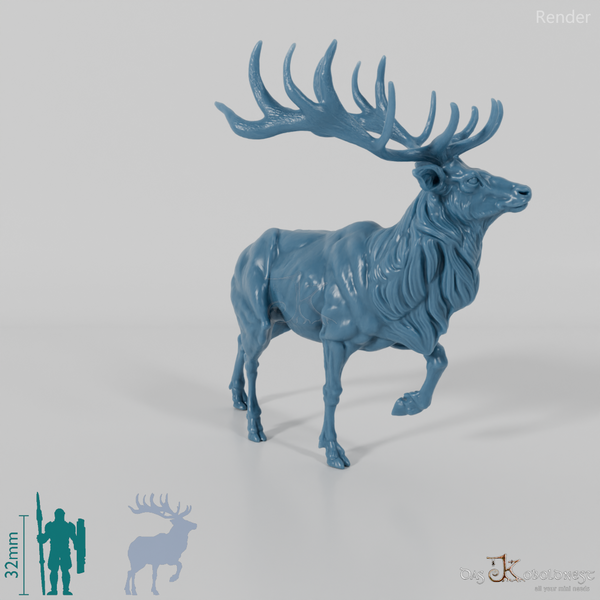 Hirsch - Wapiti 01
