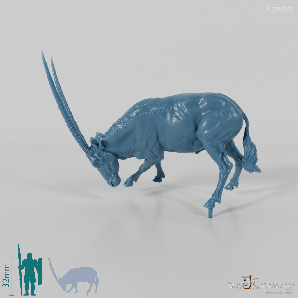 Antilope - Spießbock 03