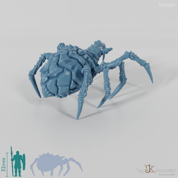 Haarige Riesenspinne