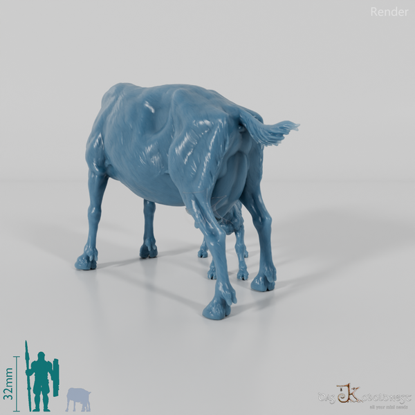 Ziege - Gebirgsziege mit Kitz