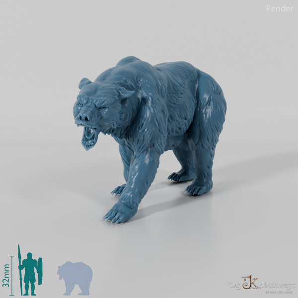 Bär - Grizzlybär 01