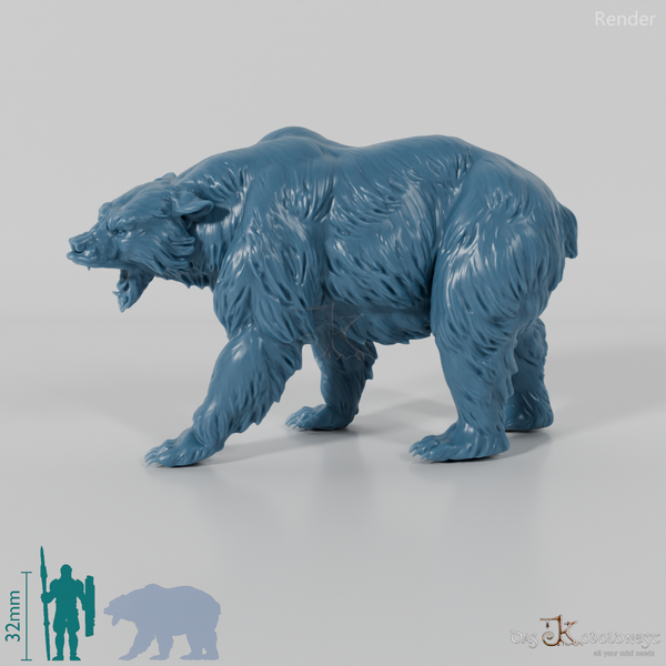 Bär - Grizzlybär 01