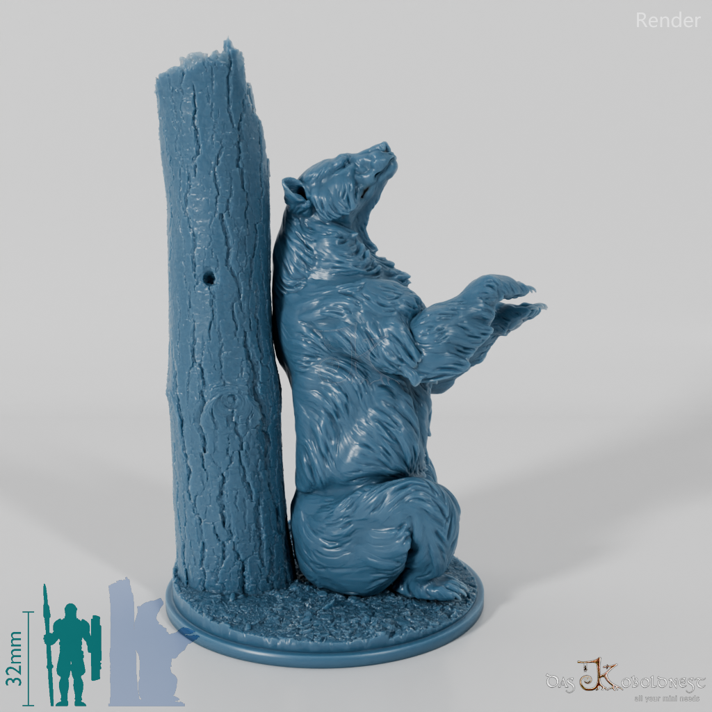 Bär - Grizzlybär 02