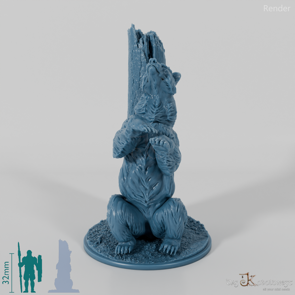 Bär - Grizzlybär 02