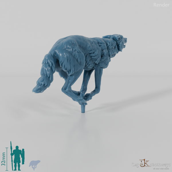 Wolf - Iberischer Wolf 03