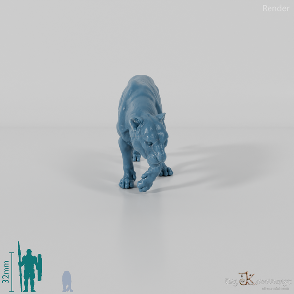 Raubkatze - Jaguar 01