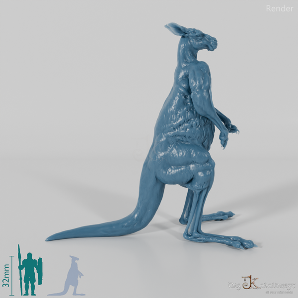 Känguru - Rotes Riesenkänguru - Männchen 01