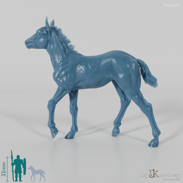 Pferd - Konik-Fohlen 01