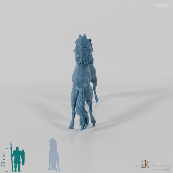 Pferd - Koniks - Kämpfend