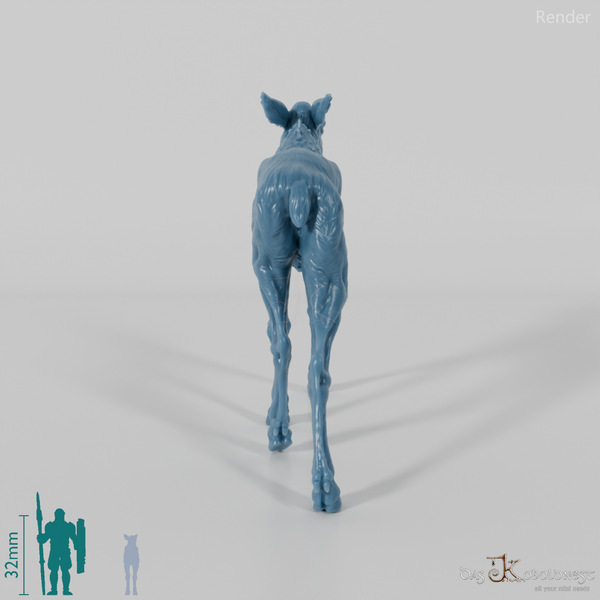 Hirsch - Elch - Kalb 01