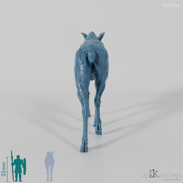 Hirsch - Elch - Kuh 01