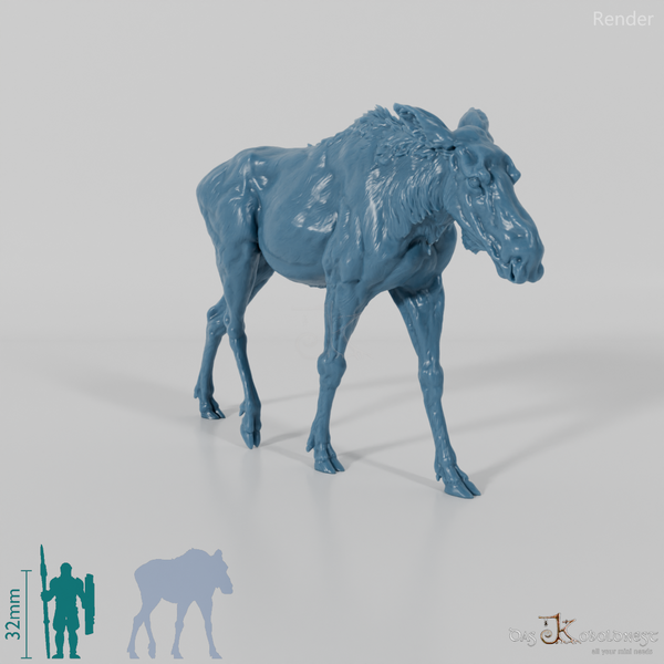 Hirsch - Elch - Kuh 01