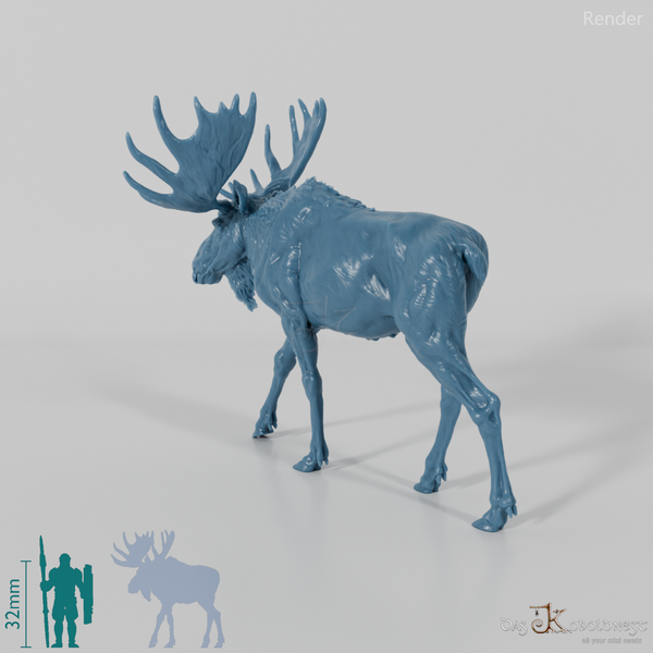 Hirsch - Elch - Bulle 01