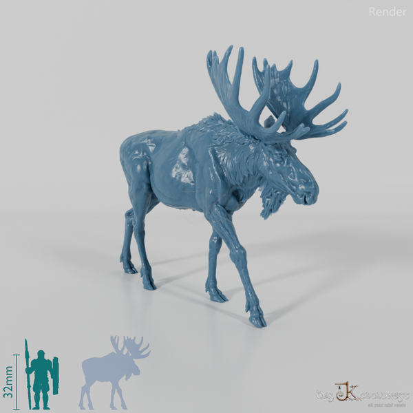 Hirsch - Elch - Bulle 01