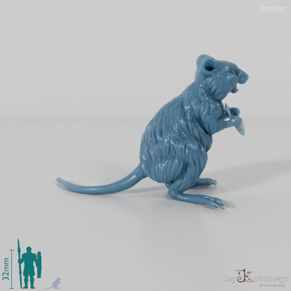 Känguru - Quokka 01