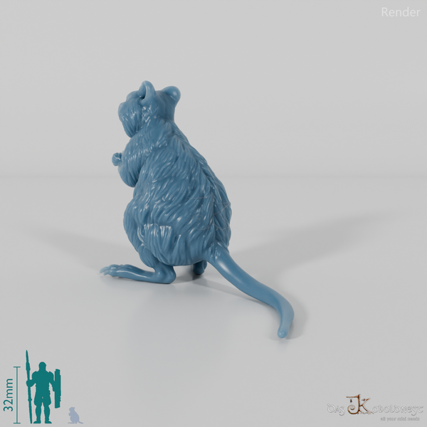 Känguru - Quokka 01