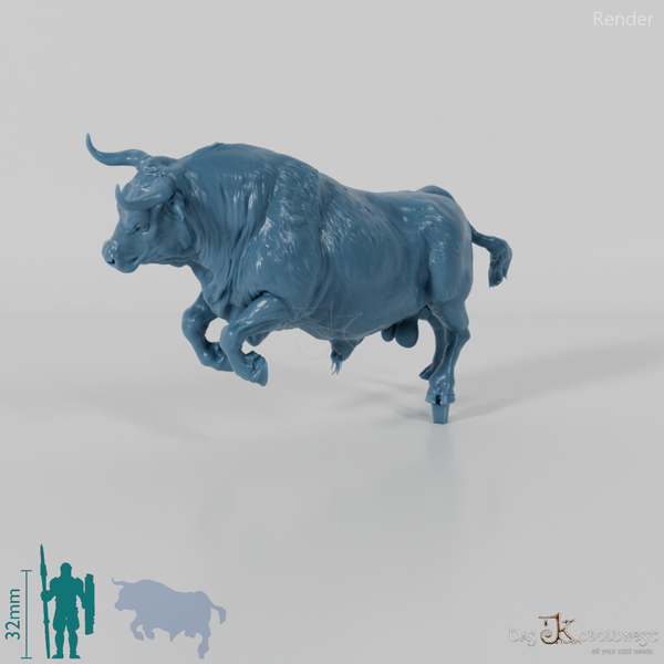 Rind - North Devon Bulle 02