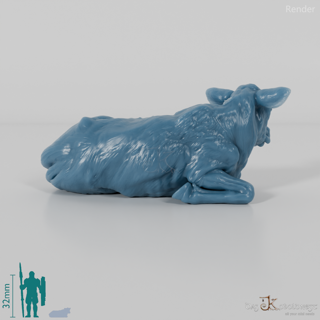 Rind - North Devon Kalb 01