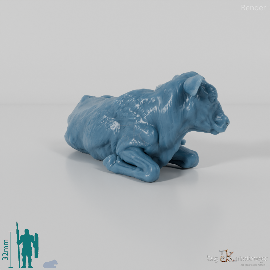 Rind - North Devon Kalb 01