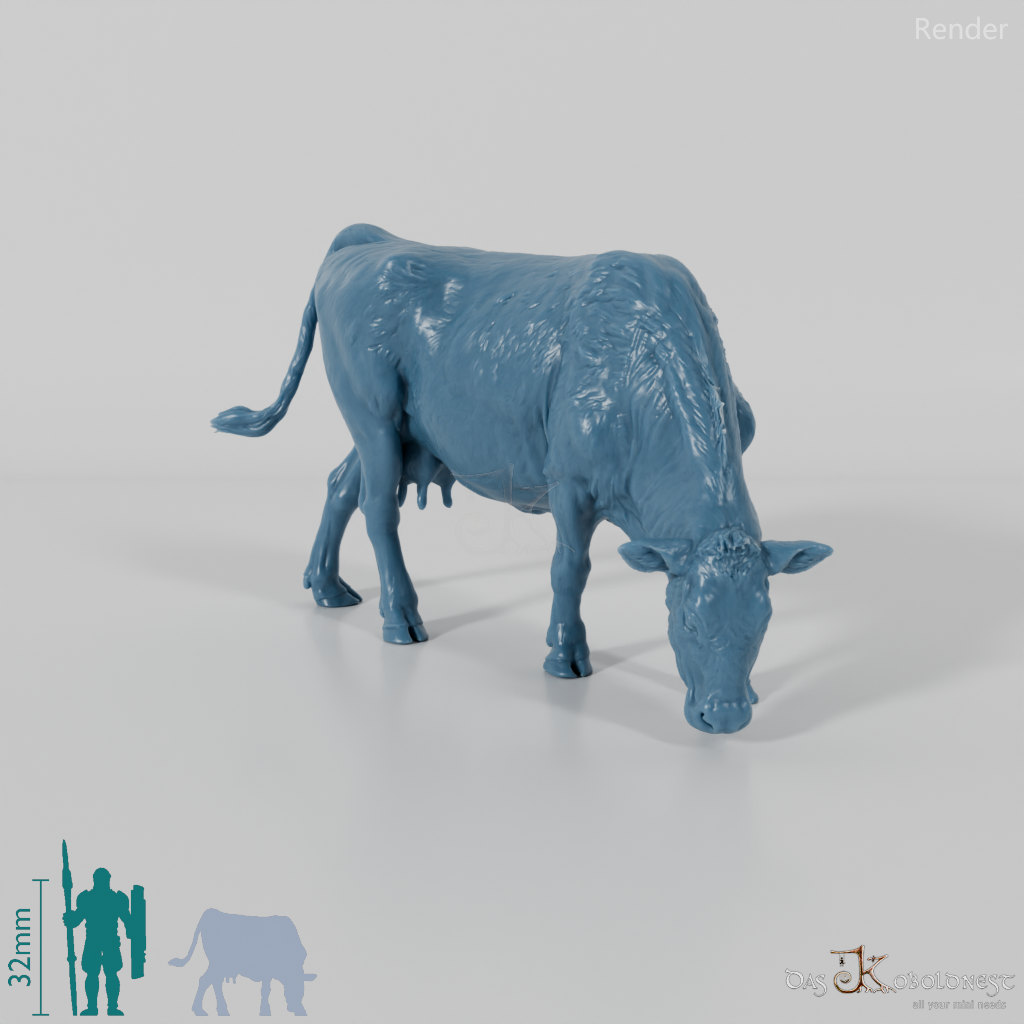 Rind - North Devon Kuh 01