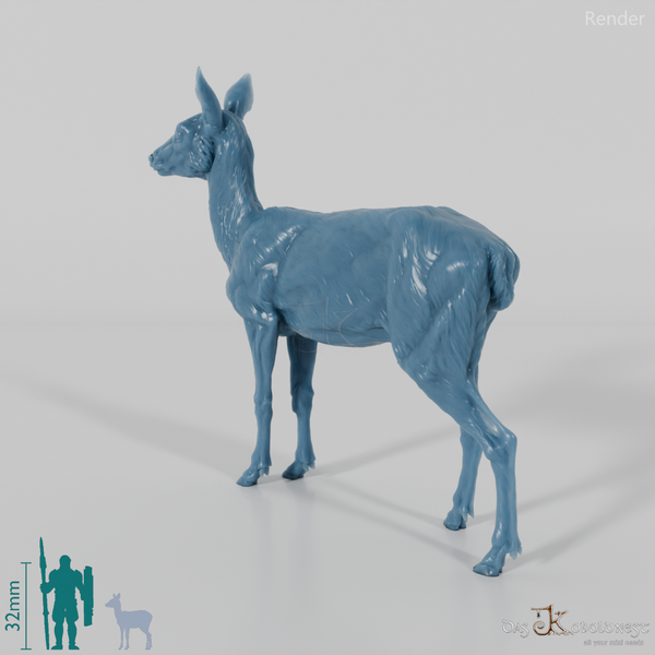 Hirsch - Europäisches Reh - Ricke 01