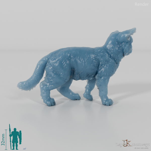 Katze - Europäische Wildkatze - Jungtier 01