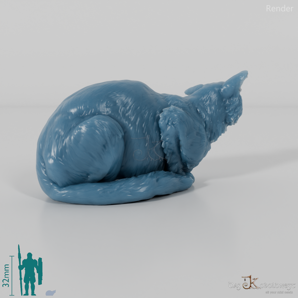 Katze - Europäische Wildkatze 02