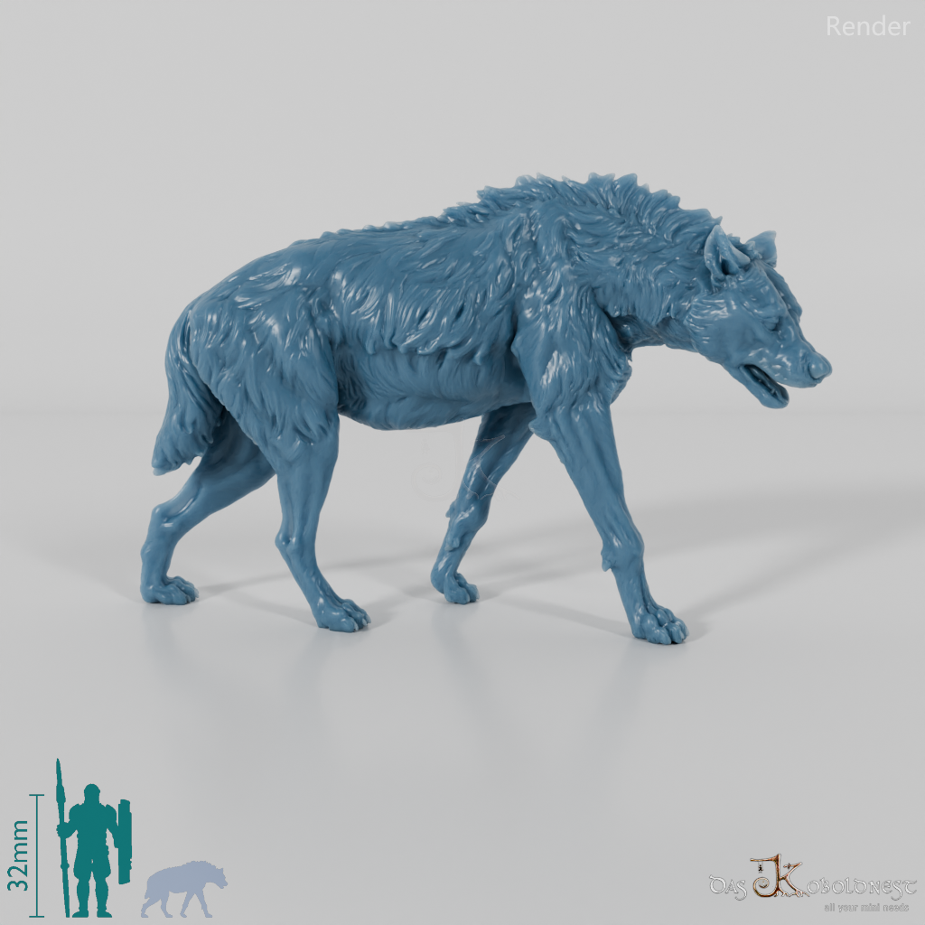 Hyäne - Tüpfelhyäne 03