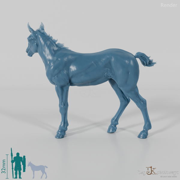 Pferd - Suffolk Punch Fohlen 04