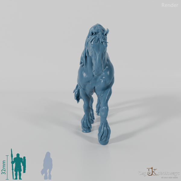 Pferd - Suffolk Punch 04