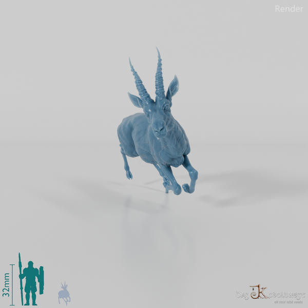 Antilope - Thomson-Gazelle 01