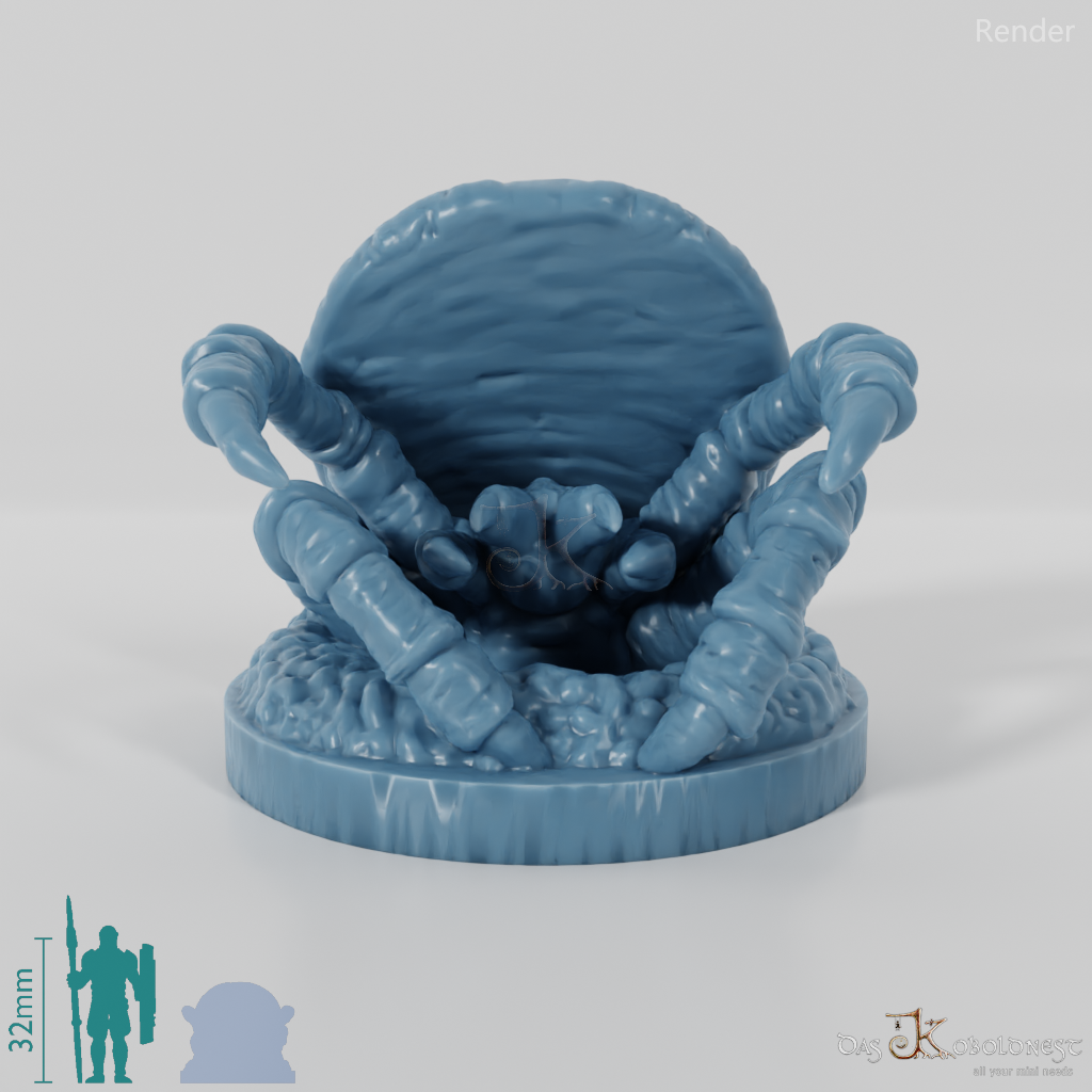 Spinne - Riesen-Falltürspinne