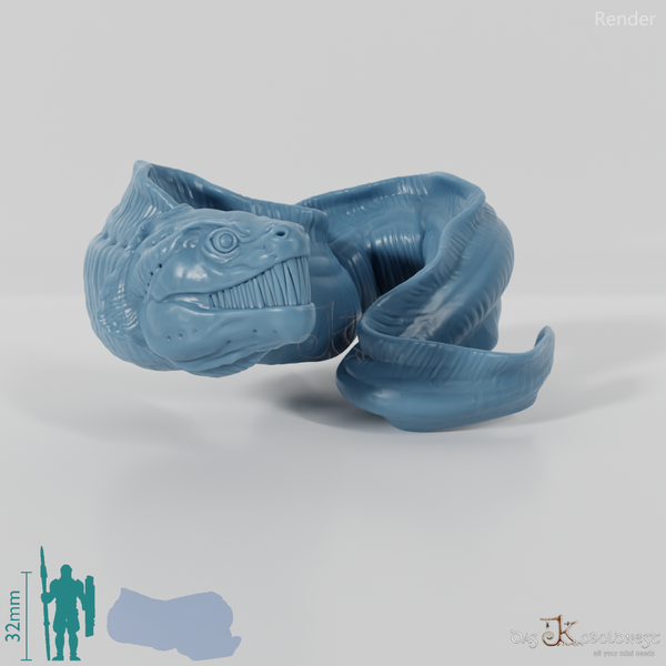 Fisch - Riesenmuräne