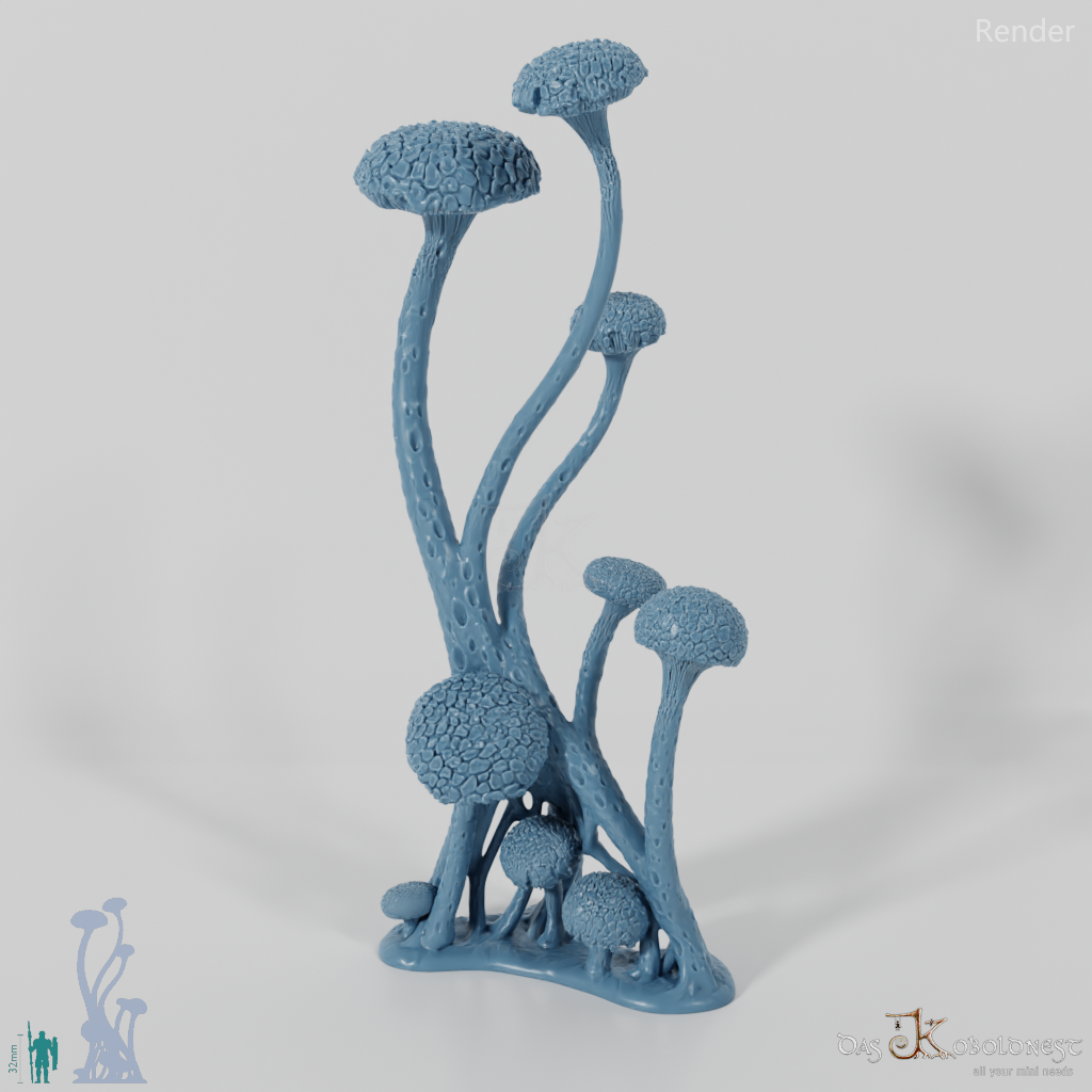 Die Pilzwälder - Hohe Riesenwulstlinge