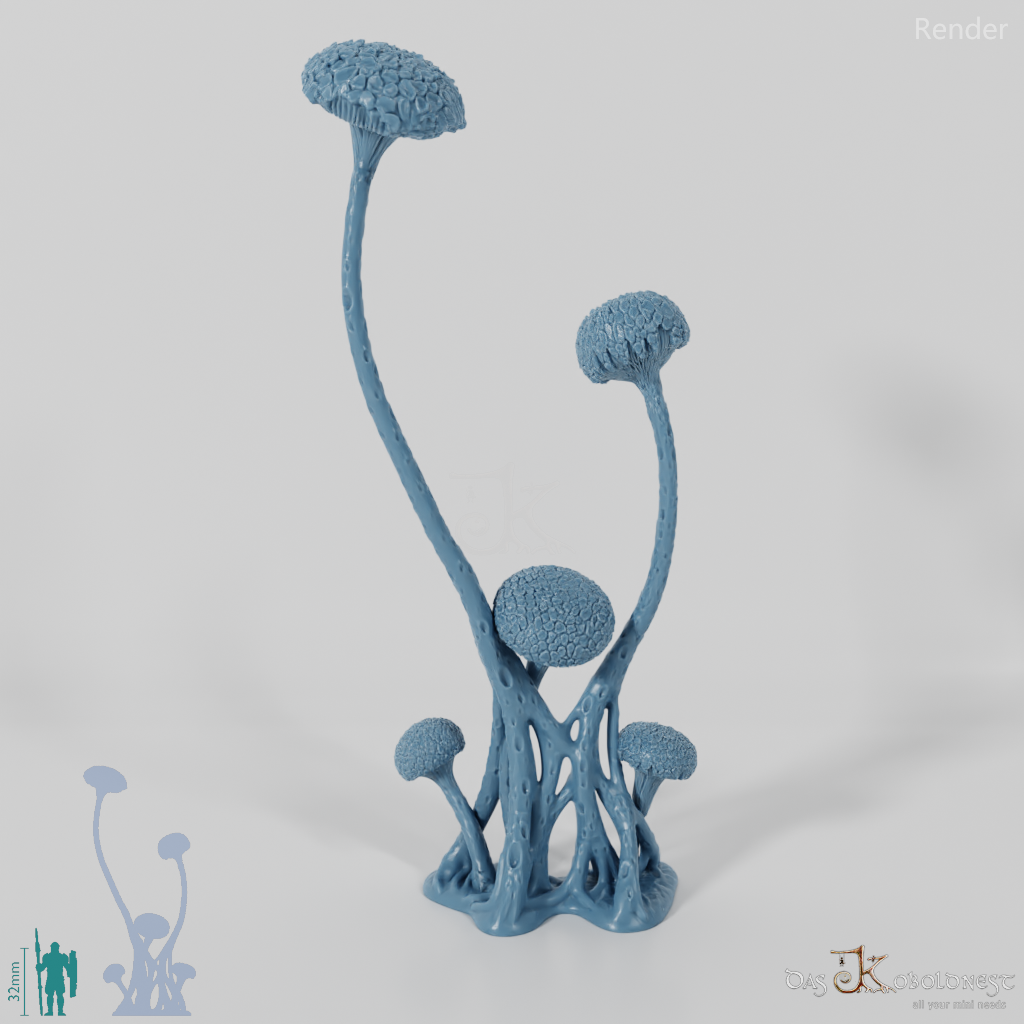 Die Pilzwälder - Hohe Riesenwulstlinge