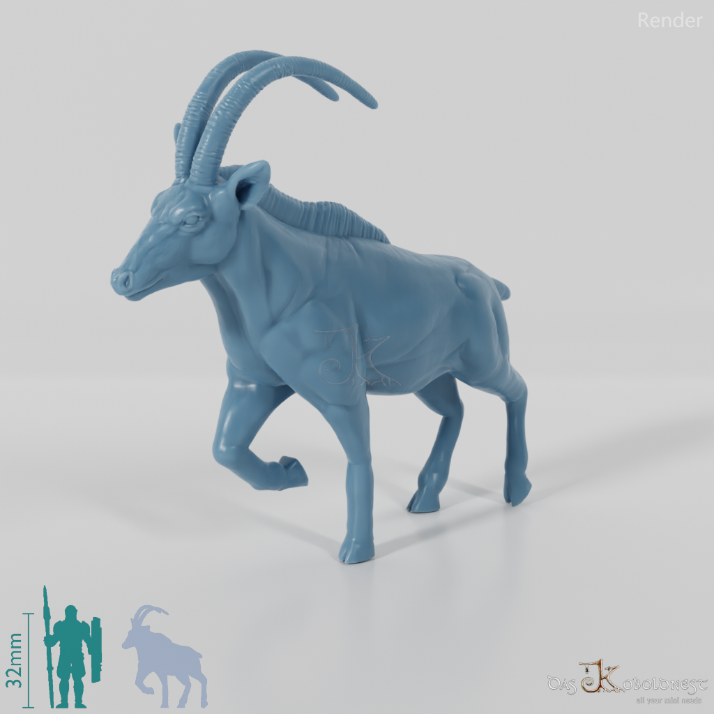 Antilope - Oryx 01