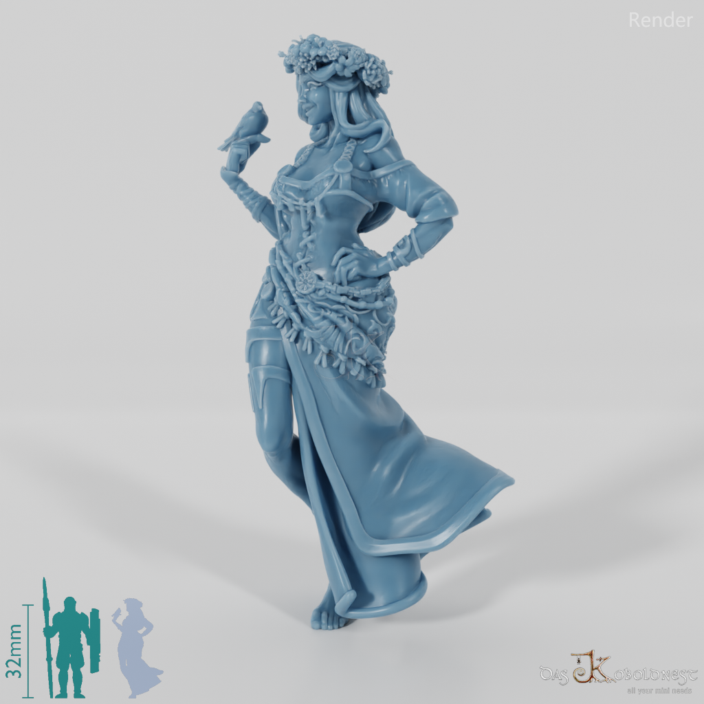 Aster, Blütenprinzessin