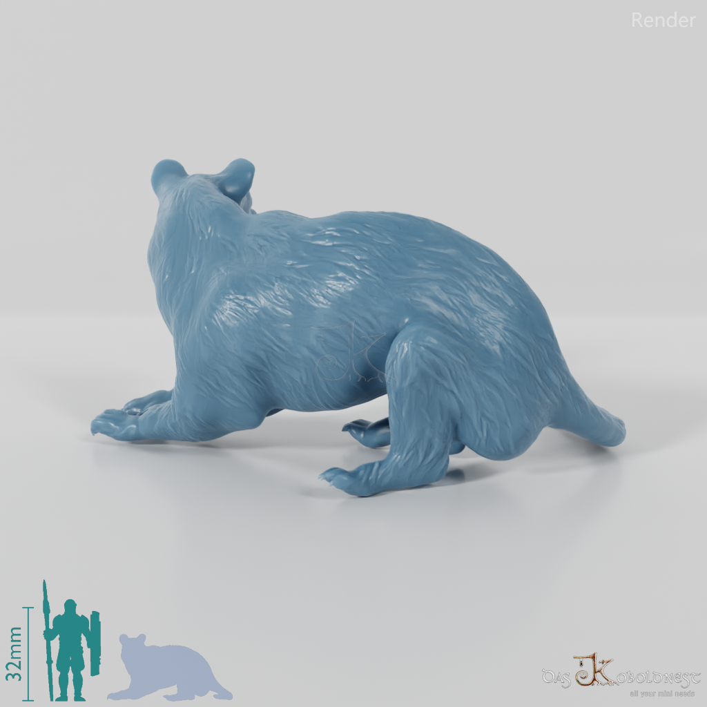 Amphicyon ingens 05 - JJP